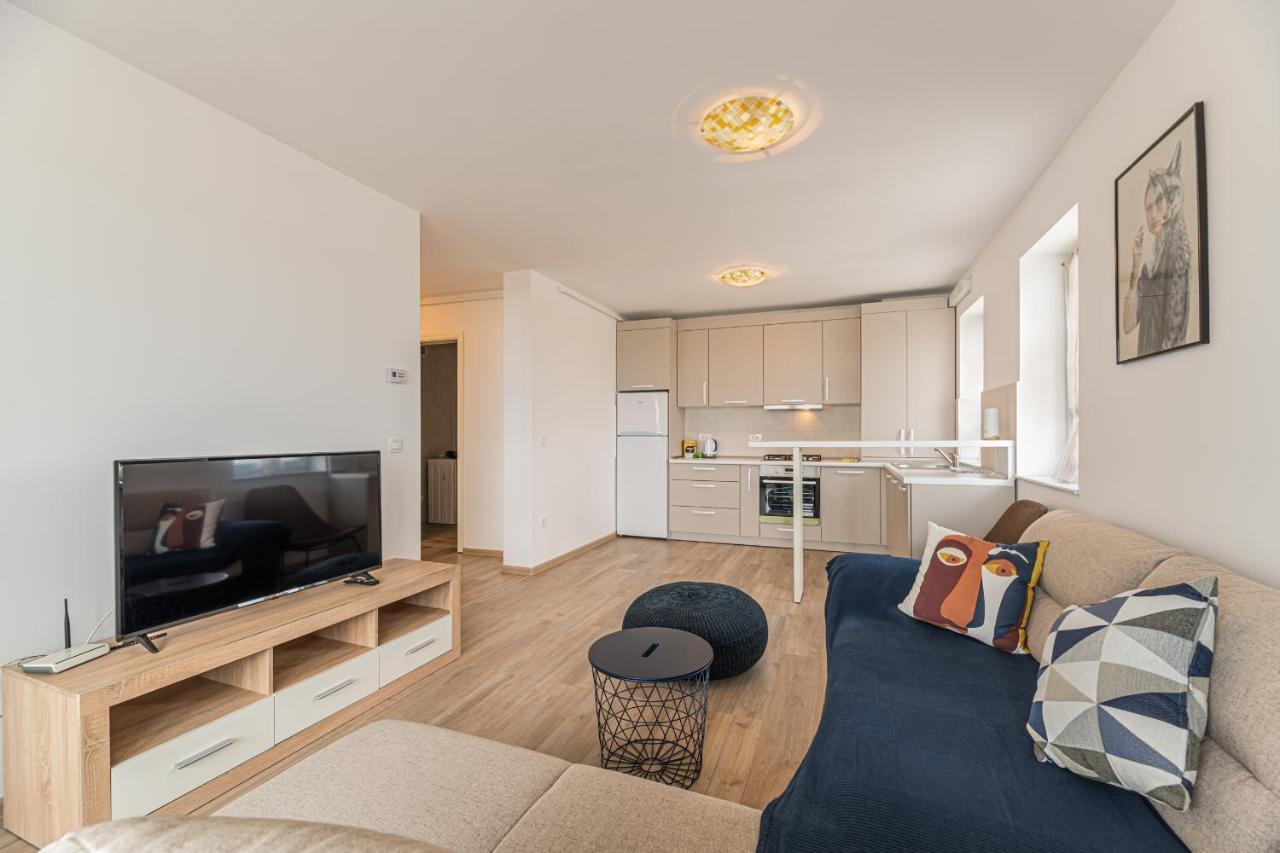 Coresi Modern Apartment Brašov Exteriér fotografie